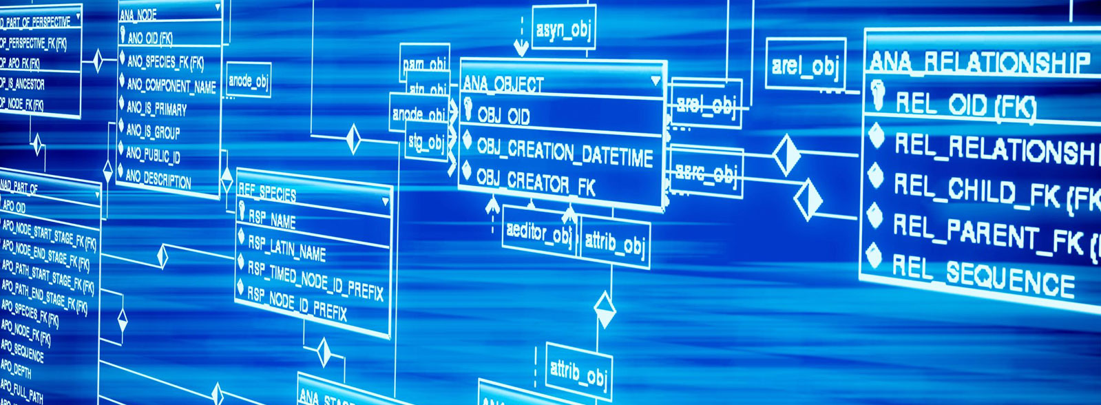 Compétence - Base de données
